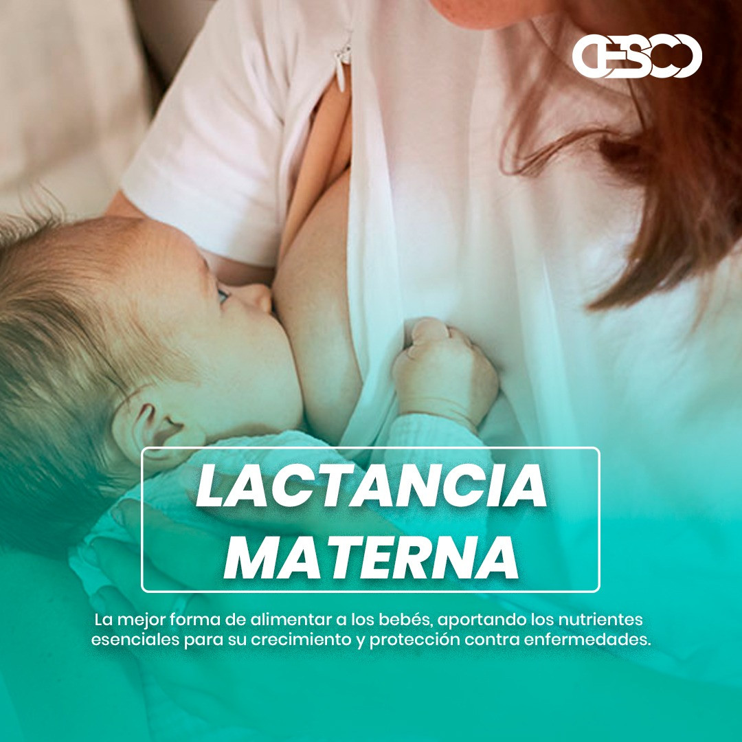 lactancia