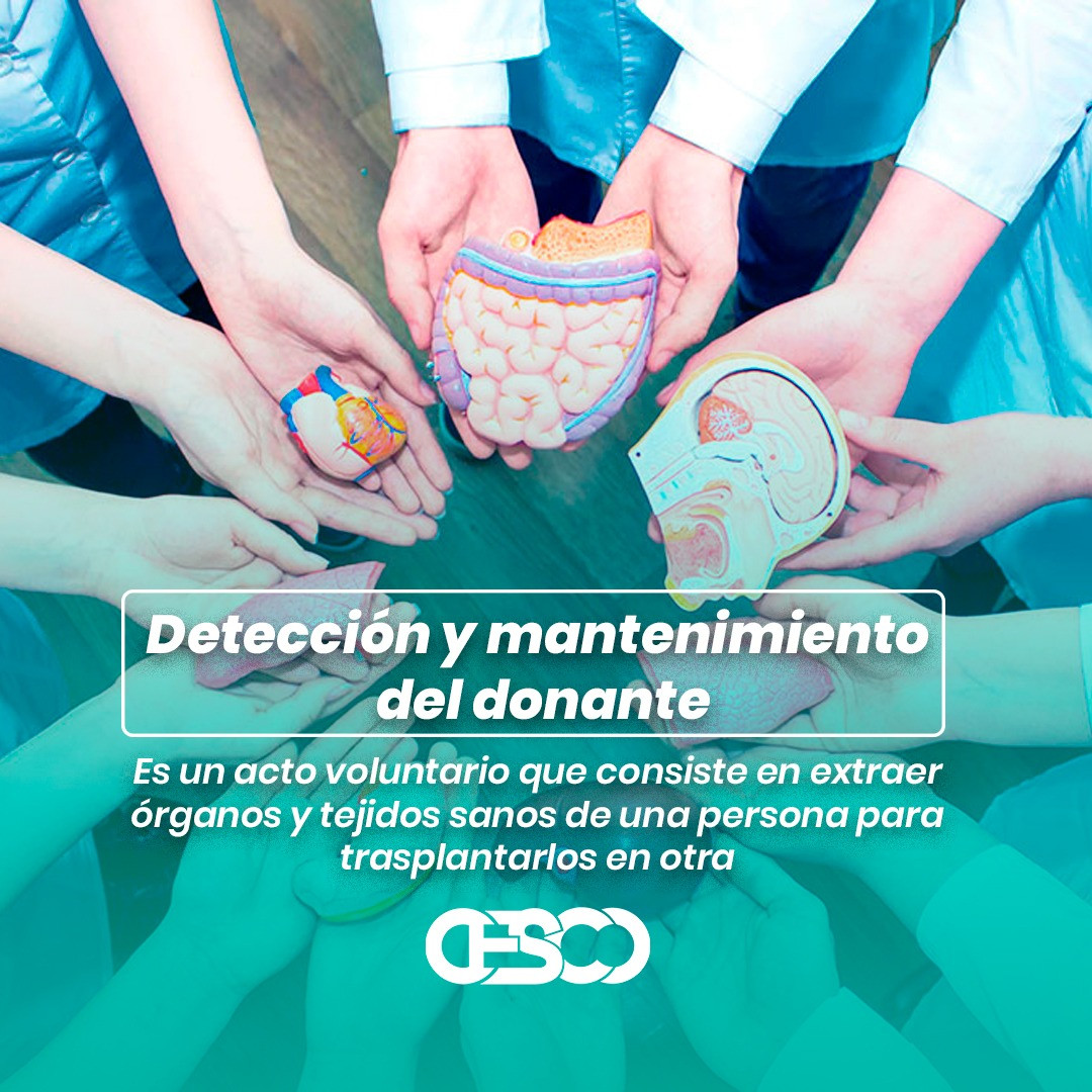 Detección